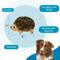 Show in main carousel: Outward Hound HedgehogZ Squeaky Plush Dog Toy, Medium slide 4 of 11