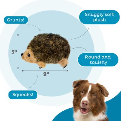 Outward Hound HedgehogZ Squeaky Plush Dog Toy