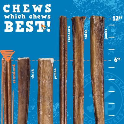 Show full view: Jack & Pup Odor Free 6-inch Standard Beef Bully Stick Dog Chews, 7 count slide 5 of 8