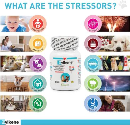 Show full view: Vetoquinol Zylkene 75-mg Capsules Calming Supplement for Small Dogs & Cats, 30 count slide 8 of 14