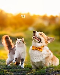 The Key Chain Urn Company Heart Design Keepsake Urn, Silver/Black slide 2 of 8