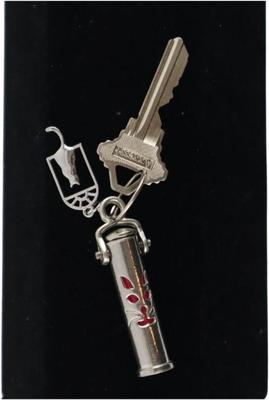 Show full view: The Key Chain Urn Company Cat Face Design Keepsake Urn, Silver/Yellow slide 3 of 9