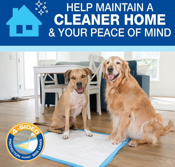 Show full view: Wee-Wee Pads Superior Performance with Runoff Edge Guard Dog Pee Pads, X-Large, 28 x 34-in, 75 count slide 3 of 13