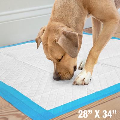 Show full view: Wee-Wee Pads Superior Performance with Runoff Edge Guard Dog Pee Pads, X-Large, 28 x 34-in, 75 count slide 6 of 14