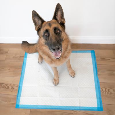 Show full view: Wee-Wee Pads Superior Performance with Runoff Edge Guard Dog Pee Pads, X-Large, 28 x 34-in, 75 count slide 8 of 14