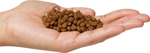 Show full view: Go! Solutions Digestion + Gut Health Chicken Recipe with Ancient Grains Dry Cat Food, 12-lb bag slide 5 of 11