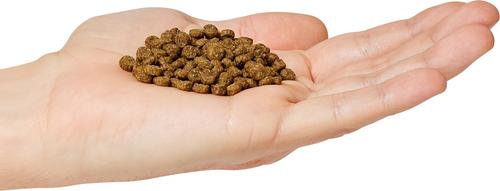 Show full view: Go! Solutions Weight Management + Joint Care Salmon Recipe Grain-Free Dry Cat Food, 12-lb bag slide 5 of 11