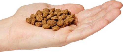 Show full view: Go! Solutions Digestion + Gut Health Adult Chicken Recipe with Ancient Grains Dry Dog Food, 22-lb bag slide 5 of 12