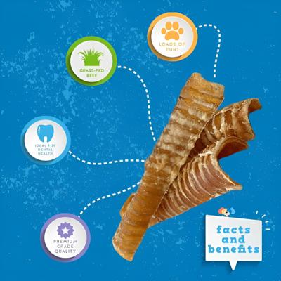 Show full view: Jack & Pup 6-inch Beef Trachea Dog Chews, 10 count slide 3 of 6