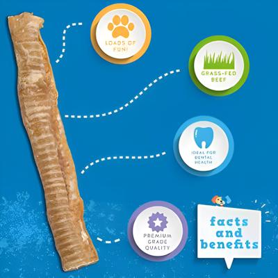 Show full view: Jack & Pup Beef Trachea 12-in Dog Treats, 3 count slide 4 of 8