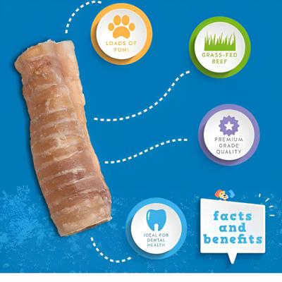 Show full view: Jack & Pup 6-inch Beef Trachea Dog Chews, 1 count slide 3 of 8