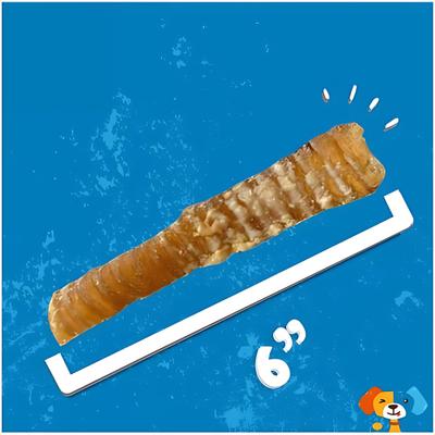 Show full view: Jack & Pup 6-inch Beef Trachea Dog Chews, 10 count slide 5 of 6
