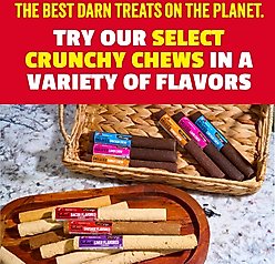 Etta Says! 7" Select Hide-Free Bacon Recipe Crunchy Dog Chews slide 2 of 7