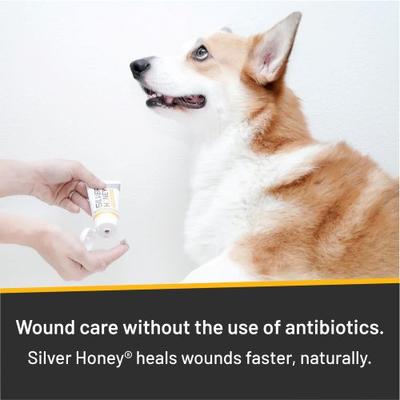 Show full view: Silver Honey Hot Spot & Wound Care Ointment, 2-fl oz tube slide 6 of 11