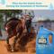 Show in main carousel: Absorbine Ultrashield Sport Insecticide & Repellent Horse Spray Refill, 1-gal bottle slide 4 of 5