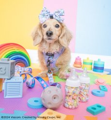 Sassy Woof Nickelodeon Rugrats Sailor Bow Dog Collar Accessory, Purple slide 2 of 6