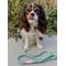 Show in main carousel: Sassy Woof Rope Dog Leash, Mint to Be slide 6 of 7