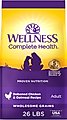 Wellness Complete Health Adult Deboned Chicken & Oatmeal Recipe Dry Dog Food, 26-lb bag