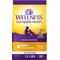 Show in main carousel: Wellness Complete Health Natural Puppy Grain-Free Chicken & Salmon Dry Dog Food, 22-lb bag slide 1 of 11