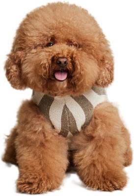 Show full view: Barefoot Dreams CozyChic Cotton Classic Stripe Dog Sweater, Eucalyptus/Cream, X-Small slide 2 of 5