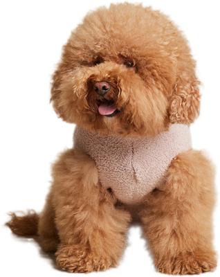 Show full view: Barefoot Dreams CozyChic Snake Dog Sweater, Dusty Mauve, X-Small slide 5 of 5