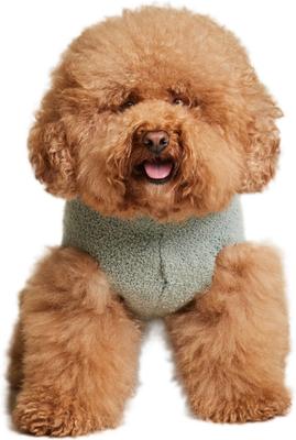 Barefoot Dreams CozyChic Snake Dog Sweater