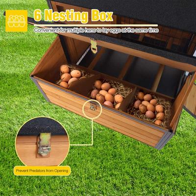 Show full view: Aivituvin AIR7019 Backyard Chicken Coop, 4 to 6 Chicken Capacity slide 6 of 8