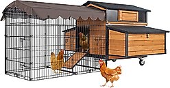 Aivituvin AIR7019 Backyard Chicken Coop, 4 to 6 Chicken Capacity
