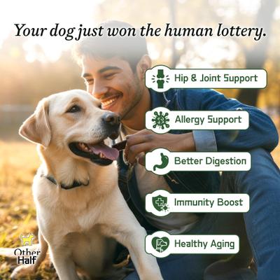 Show full view: Other Half Everyday Multivitamin Bacon & Pumpkin Flavored Powder Supplement for Dogs, 60 scoops slide 4 of 9