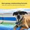 Show in main carousel: Gentle Creatures Pet Sunscreen with Aloe & Olive Oil Dog & Cat Sunscreen, 7-fl oz bottle slide 6 of 7