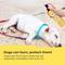 Show in main carousel: Gentle Creatures Pet Sunscreen with Aloe & Olive Oil Dog & Cat Sunscreen, 7-fl oz bottle slide 4 of 7