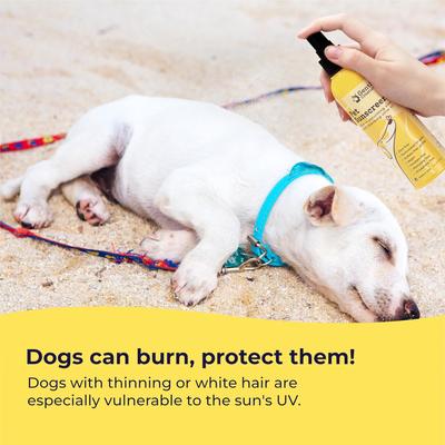 Show full view: Gentle Creatures Pet Sunscreen with Aloe & Olive Oil Dog & Cat Sunscreen, 7-fl oz bottle slide 4 of 7