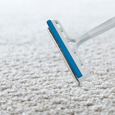 Show full view: Pets Know Best Dog & Cat Hair Remover Brush slide 4 of 9