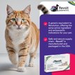 Show in main carousel: Revolt Topical Solution for Cats, 5.1-15 lbs, (Blue Box), 6 Doses (6-mos. supply) slide 3 of 8