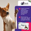 Show in main carousel: Revolt Topical Solution for Dogs, 40.1-85 lbs, (Teal Box), 6 Doses (6-mos. supply) slide 3 of 8