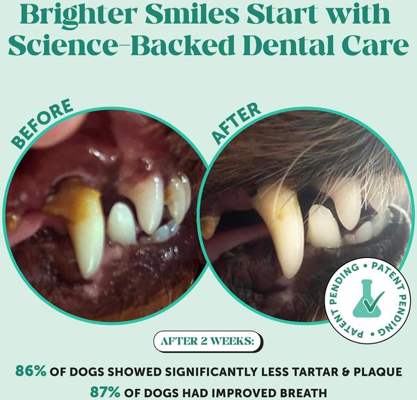 Show full view: Pet Honesty Fresh Breath Freshener Mint Flavored Dental Powder for Dogs, 5.29-oz jar slide 3 of 11