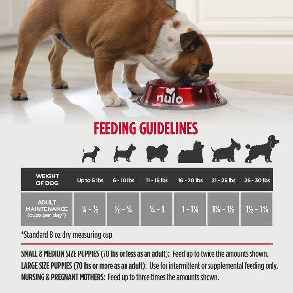 Nulo FreeStyle High Protein Small Breed Beef & Sweet Potato Recipe Dry Dog Food
