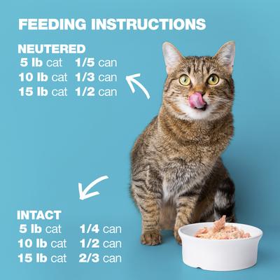 Show full view: Natural Code Tuna & Beef Liver Wet Cat Food, 3-oz can, case of 24 slide 9 of 10