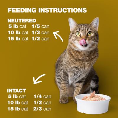 Show full view: Natural Code Tuna & Beef Wet Cat Food, 3-oz can, case of 24 slide 9 of 10