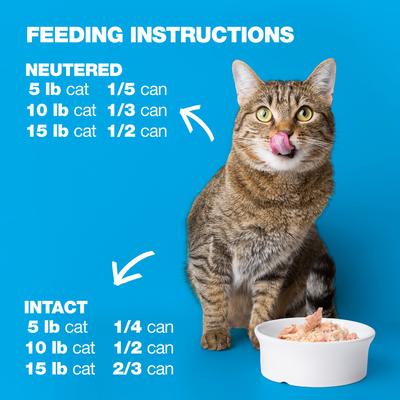 Show full view: Natural Code Tuna & Fish Wet Cat Food, 3-oz can, case of 24 slide 9 of 10