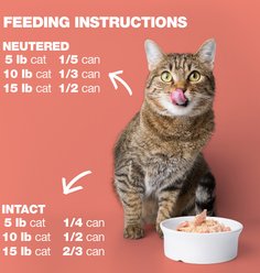 Natural Code Chicken & Salmon Wet Cat Food, 3-oz can, case of 24 slide 2 of 8