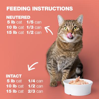 Show full view: Natural Code Chicken & Salmon Wet Cat Food, 3-oz can, case of 24 slide 9 of 10