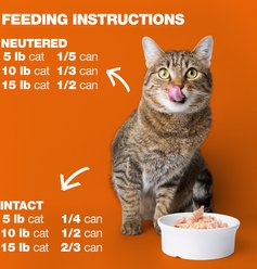 Natural Code Chicken & Shrimp Wet Cat Food, 3-oz can, case of 24 slide 2 of 8