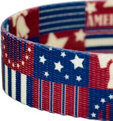 Country Brook Petz Spirit of '76 Dog Leash, Medium: 6-ft long, 5/8-in wide slide 2 of 6