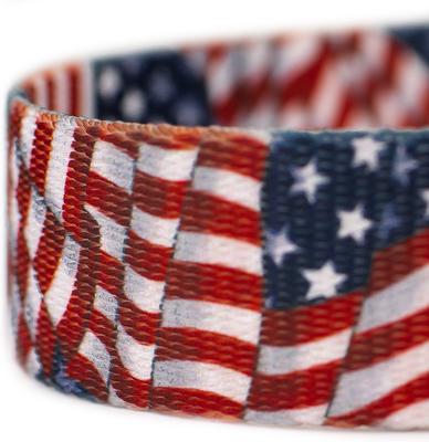Show full view: Country Brook Petz Patriotic Tribute Dog Leash, Large: 6-ft long, 1-in wide slide 5 of 5