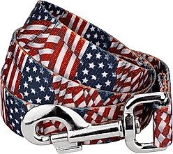 Country Brook Petz Patriotic Tribute Dog Leash, Large: 6-ft long, 1-in wide