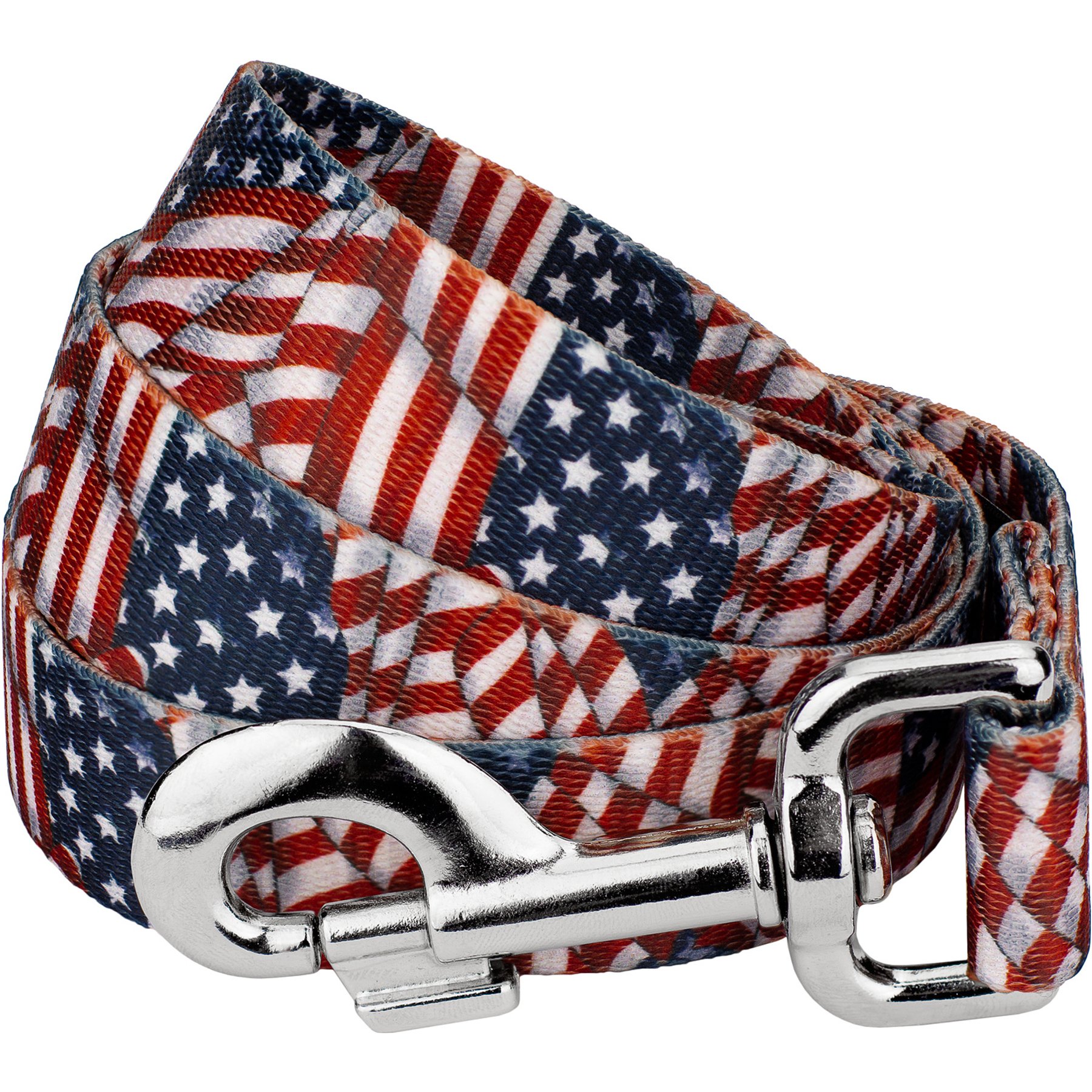 Country Brook Petz Patriotic Tribute Dog Leash, Medium: 4-ft long, 5/8-in wide