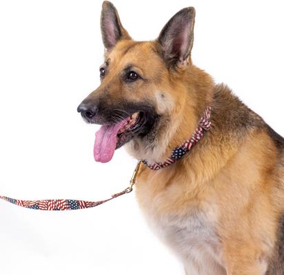 Show full view: Country Brook Petz Patriotic Tribute Martingale Dog Collar, X-Large: 23 to 31-in neck, 1-in wide slide 3 of 8