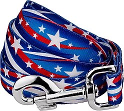 Country Brook Petz Star Spangled Dog Leash, Medium: 6-ft long, 5/8-in wide