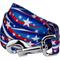 Show in main carousel: Country Brook Petz Star Spangled Dog Leash, Large: 4-ft long, 1-in wide slide 1 of 5